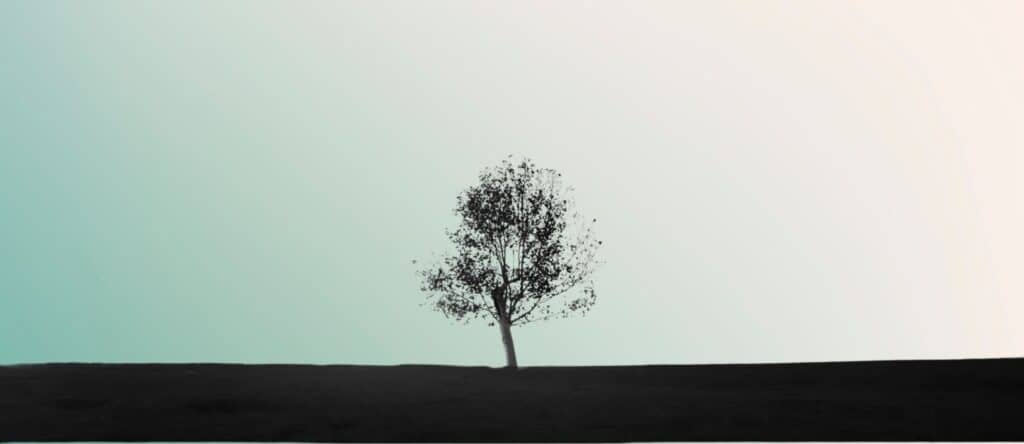 Heb je het gevoel dat je alles alleen op moet lossen?