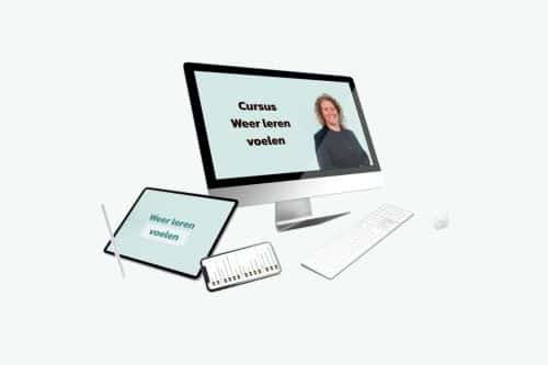 Cursus leren voelen